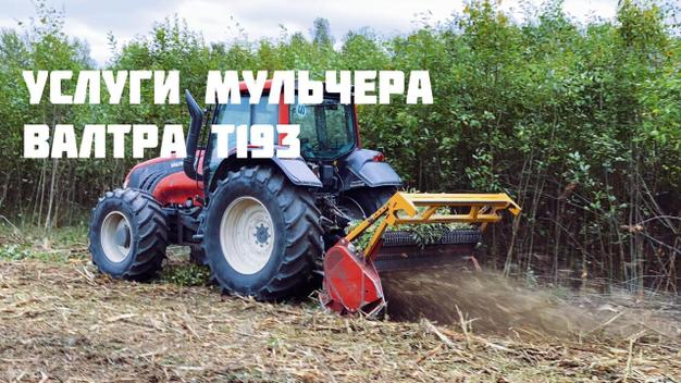 Мульчер. Аренда и Услуги по расчистке